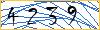 Type the numbers that you see in the picture