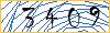 Type the numbers that you see in the picture