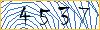 Type the numbers that you see in the picture