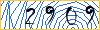 Type the numbers that you see in the picture