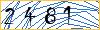 Type the numbers that you see in the picture