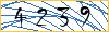 Type the numbers that you see in the picture