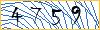 Type the numbers that you see in the picture