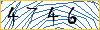 Type the numbers that you see in the picture