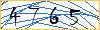 Type the numbers that you see in the picture