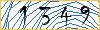 Type the numbers that you see in the picture