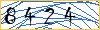 Type the numbers that you see in the picture