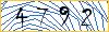 Type the numbers that you see in the picture