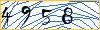 Type the numbers that you see in the picture