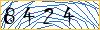 Type the numbers that you see in the picture
