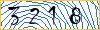 Type the numbers that you see in the picture