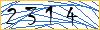 Type the numbers that you see in the picture