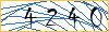 Type the numbers that you see in the picture