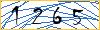 Type the numbers that you see in the picture
