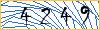 Type the numbers that you see in the picture