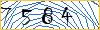Type the numbers that you see in the picture