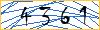 Type the numbers that you see in the picture