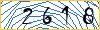 Type the numbers that you see in the picture