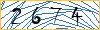 Type the numbers that you see in the picture