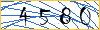 Type the numbers that you see in the picture