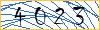 Type the numbers that you see in the picture