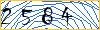 Type the numbers that you see in the picture