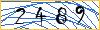Type the numbers that you see in the picture