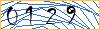 Type the numbers that you see in the picture