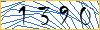 Type the numbers that you see in the picture