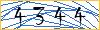 Type the numbers that you see in the picture