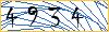 Type the numbers that you see in the picture
