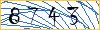 Type the numbers that you see in the picture