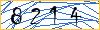 Type the numbers that you see in the picture