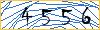 Type the numbers that you see in the picture