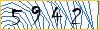Type the numbers that you see in the picture