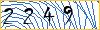 Type the numbers that you see in the picture