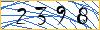 Type the numbers that you see in the picture