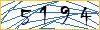 Type the numbers that you see in the picture
