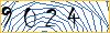 Type the numbers that you see in the picture
