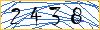 Type the numbers that you see in the picture
