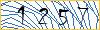 Type the numbers that you see in the picture