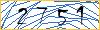 Type the numbers that you see in the picture