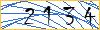 Type the numbers that you see in the picture