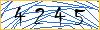 Type the numbers that you see in the picture