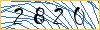 Type the numbers that you see in the picture