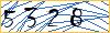Type the numbers that you see in the picture