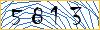 Type the numbers that you see in the picture
