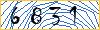 Type the numbers that you see in the picture