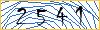 Type the numbers that you see in the picture