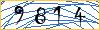 Type the numbers that you see in the picture